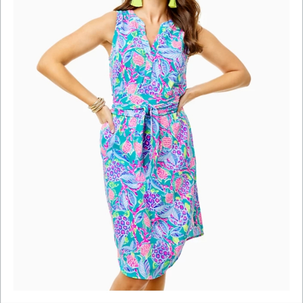 Nwt lily pulitzer naila midi dress madives
